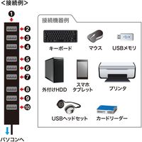 サンワサプライ USB2.0ハブ(10ポート) USB-2H1001BKN 1個（直送品）
