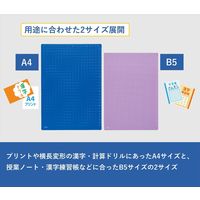 レイメイ藤井 先生おすすめ 魔法のザラザラ下じき B5 0.3mmドット バイオレット U783V 1セット(2個)