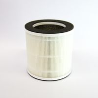 エスケイジャパン パーソナル空気清浄機 QTK-ARP06C 1台