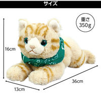 アーテック おへんじアニマル 猫 音声認識ぬいぐるみ 51931 1個