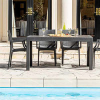 三栄コーポレーション 屋外設置、水洗い可能 ラタン調ガーデンチェア 肘付き2脚セット A1--PYXARMCHR2S_AS　１セット(２脚）（直送品）