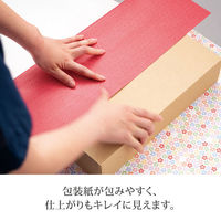 ヘッズ 無地クラフトスマートボックス 外寸：W192×H72×D155mm MSM-GB10 1セット（50枚：10枚入×5袋）