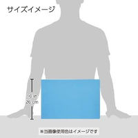 コクヨ リングファイル 22mm フ-429B 1冊