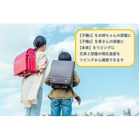 エンペックス気象計 ツインワイヤレス温度計 TD-8401 1台