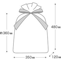 ヘッズ 2重不織布リボン付バッグ-M/クリーム DFC-RBM 1セット(50枚:10枚×5組)