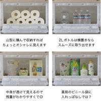 アイ・エル・シー 扉つき折りたたみコンテナ_ライトブルー CB51NRL片扉L-LB 1個