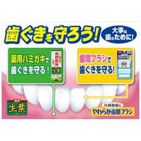やわらか歯間ブラシ 太いタイプ ＭーＬＬサイズ 20本 1セット（3個） ゴムタイプ 小林製薬