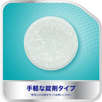 入れ歯洗浄剤 爽快実感ポリデント 99.9%除菌 108錠 Haleonジャパン