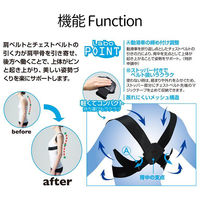 magico Labo 姿勢ベルトイージーフィット M-L 1個 中山式産業