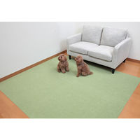 サンコー おくだけ吸着ロングマット60×800cm グリーン KH-72 1枚