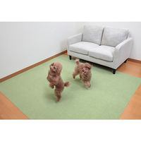 サンコー おくだけ吸着ロングマット90×200cm グリーン KH-74 1枚