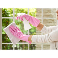 ショーワグローブ ショーワ 塩化ビニール手袋 ナイスハンドミュー中厚手片手左1本 ピンク Mサイズ NHMICK-L 1枚 770-4101（直送品）