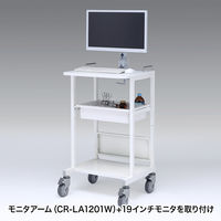サンワサプライ 電子カルテカート（ホスピタルホワイト） 高さ938mm RAC-HP14SCW 1台（2梱包）（直送品）
