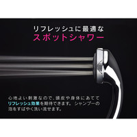 ホリダー・シモン　シャワーヘッドとホースのセット 5段切替 （節水 マッサージ　掃除 リフレッシュ ボッシーニ）GA-FH005　（直送品）