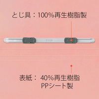 プラス　PPフラットファイルB5SPK　98368　（直送品）