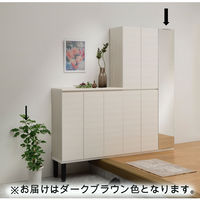白井産業 ポルターレエントランス ミラー付シューズラック 幅300×奥行364×高さ1800mm ダークブラウン（直送品）