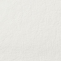 サンワサプライ　導電チェア　SNC-D32　（直送品）