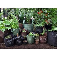 未来アグリス　PD COLLECTION　ふかふか培養土+ルーツポーチ　12L　グリーン　　　　（直送品）