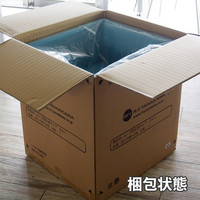 【車上渡し】アールエフヤマカワ ループ脚応接チェア ブルー 1台（直送品）