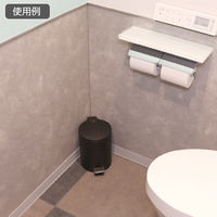 テラモト ペダルボックス(静音タイプ) ブラック 3L DS2387037 1セット(2個)