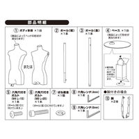 ストア・エキスプレス 紳士芯地張トルソーＭ　ステンレス調 8005-4002 1台（直送品）