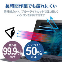DELL Latitude5330/Latitude7330用 フィルター 13.3Wインチ EF-PFKDE01 エレコム 1個（直送品）