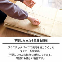 天馬 フィッツ クラフトケース 引出式 小物(A4) 814000001 1個