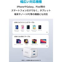 Anker USB充電器 Cポート×2 最大40W 521 Charger （Nano Pro） A2038N21 1個