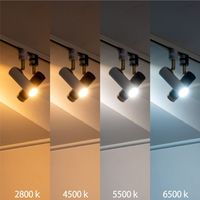 TIC ノーシュ 1灯スポットライト TC-1022-BK 1個