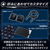 ゲーミングキーボード 有線 メカニカル （青軸/クリッキー） 着脱式 RGB TK-VK310CBK エレコム 1個