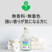 エコベール ゼロ おしゃれ着用洗剤 デリケートウォッシュ（無香料・無着色） 本体 1000mL 1セット（1個×3） 衣料用洗剤 ECOVER