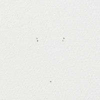 無印良品 壁に付けられる家具フック オーク材 良品計画