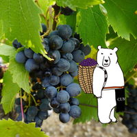 フランス　クマニア　ピノノワール・オーク 赤ワイン　ミディアムボディ　750ml カート箱 カード入 1本　マス久本店