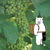 フランス　クマニア　シャルドネ・オーク 白ワイン　辛口 750ml カートン箱 カード入 1本　マス久本店