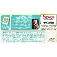 片岡物産 トワイニング ザ・フルーツ カモミール＆オレンジ 10P  1個【カフェインゼロ】