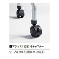 【軒先渡し】ニシキ工業  教育施設用テーブル  幅650×奥行450×高さ720mm  ペールウッド  APJ-B6545D-PL  1台（直送品）