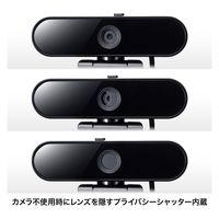 サンワサプライ マイク無しWEBカメラ CMS-V67BK 1個（直送品）