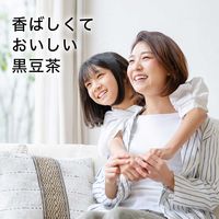 伊藤園 おいしく大豆イソフラボン 黒豆茶 500ml 1セット（48本） ノンカフェイン カフェインゼロ イソフラボン