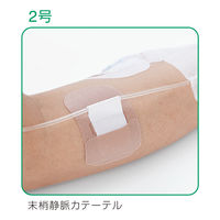 アルケア クイックフィックス 2号 19392 1箱(100枚入)