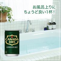【炭酸飲料】　カナダドライ ジンジャーエール 160ml 1セット（60缶）