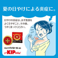 キップパイロールHi 15g キップ薬品　塗り薬　日焼け 軽度のやけど 切傷 すり傷 あかぎれ 雪焼け【第2類医薬品】