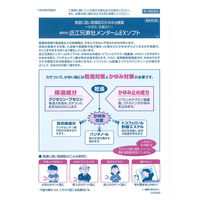 近江兄弟社メンタームEXソフト 90g 近江兄弟社　塗り薬 かゆみ止め・ワセリン配合 湿疹・あせも・かゆみに【第2類医薬品】