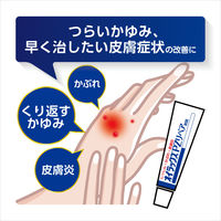 オイラックスPZリペア軟膏 10g 第一三共ヘルスケア　塗り薬 つらいかゆみ 手湿疹 かぶれ 皮膚炎【指定第2類医薬品】