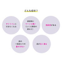 腎仙散 12包 摩耶堂製薬　生薬製剤 膀胱炎 むくみ 腎炎【第2類医薬品】