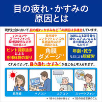 サンテメディカルアクティブ 12ml 参天製薬　目薬 年齢・乾きなどによる眼疲労 目の疲れ 目のかすみ【第2類医薬品】