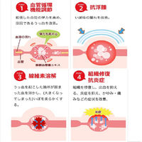 ヘモリンド舌下錠 20錠 小林製薬【第2類医薬品】