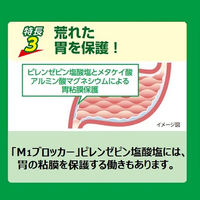 ガストール錠 60錠 エスエス製薬【第2類医薬品】