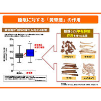 黄帝酒 280ml 佐藤製薬 薬用酒 虚弱体質 肉体疲労 病中病後 胃腸虚弱 食欲不振 血色不良 冷え症【第3類医薬品】