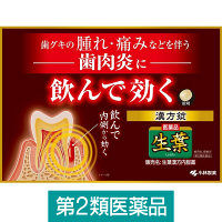 生葉漢方錠 84錠 小林製薬【第2類医薬品】