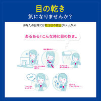 ロートドライエイド コンタクトa 10ml　ロート製薬 目薬 コンタクト対応 在宅・PCでの乾き目 疲れ目  ドライアイ【第3類医薬品】